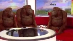 ebf3b55f-5fc0-4b52-95dd-cdb910195118