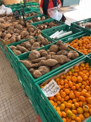 f05a3999-01c7-4d11-b92c-dbce937e253d