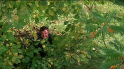 ea24b201-341d-435b-a7e9-41a558e1c0d2