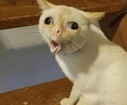 62ac022d-5736-47e4-878f-4d3f8ca12978