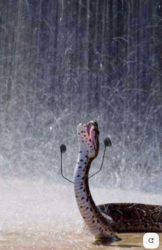 2f148260-9eca-497c-b9c6-2030bb4f060c