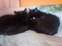 7a74f2c9-4749-449b-b79c-bf1698222938