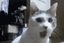 d5aa63cf-b4ff-4051-b525-3eebda2fec08