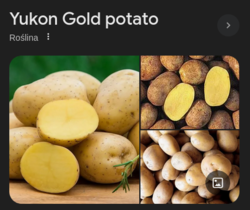 d7cf963e-8626-4eab-a7d6-0f37670318e7