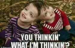 420d7b2b-f851-435f-9af2-51c615e38f5b