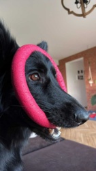 4e94870b-e432-4375-9873-91a22d549eb4