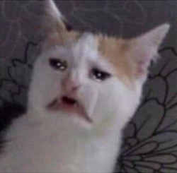 dc15cd4b-bfc8-4fdf-9ea9-03324803789d