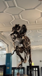 0df28420-a0e9-45e2-a571-1a6a492ff17f