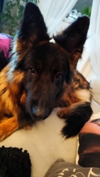 09aaa88c-cfec-4be7-b6dc-1e05ee80b8cc