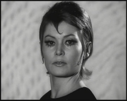 b0c5f3a3-e0b8-4cfe-82f7-c968e1fbf4f4