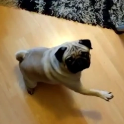 af90ba9a-6337-4be6-beb9-a7b4726eb091