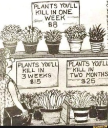 3aa9b69d-de2f-407f-8d3f-78b808dac407