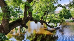 c6cf49e5-169d-44a0-94e5-4b3422de4093