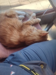 a4438310-229d-4d33-a524-62744292dd64