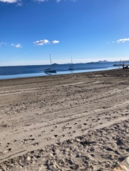 d43f5bb2-53d6-435c-9968-2f9ce3ed4a42