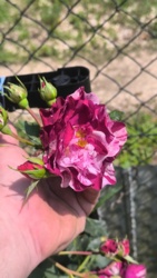 c66649fb-4690-4742-af67-f6cea6cc8235