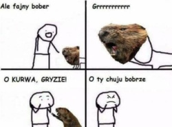 73ac5771-1a13-44cc-85cd-008fb49ae4cc