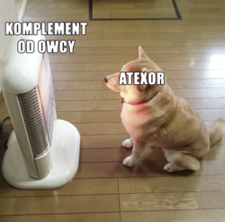 07ec973c-1a13-4737-94b7-68055e1c8151