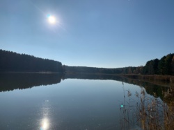 8c91da5d-5477-4345-a1e6-2508e2f32f34