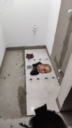 43bcd61a-6397-4838-ae11-9945091d9757