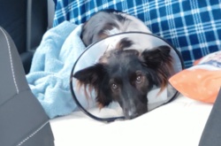 1dbe6a40-90f1-43a3-b0d4-16bf5b853f0e