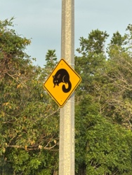 a3a41150-f9bc-4516-9bda-2a0b46637c83