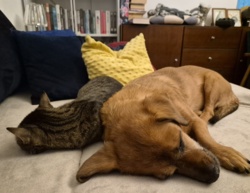 343a36cd-7abc-4d40-b8a6-9c2d1c0673bc