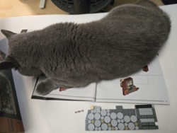 10709c5b-f738-4957-b423-0c3fd4888753