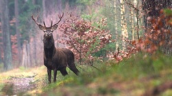 7a92d5b6-85fd-49bf-8abe-7f32a05735fe