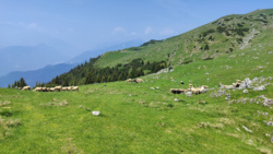 8daca219-0ccb-4360-9212-9187d1b99951