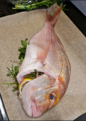 70f7ef05-d16f-4ad6-ae70-8dfa70ee88c9