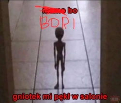 b9cda593-7a66-4f49-916f-e2776c7f6436