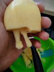 0c469004-237c-4dbf-83cc-a3b48cb50e9b