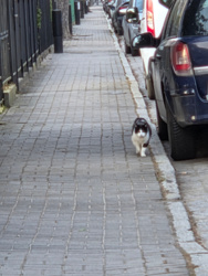 865135d8-26c5-442c-b707-8733f0a96ac2