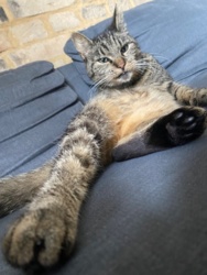 1a20e2d9-f3cb-4f17-8864-e3b9d0ba737e