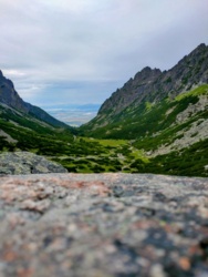 af920719-21fb-44ae-bc11-a863af671329