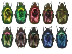 e7db29b2-d018-43f7-b3bd-b8abffec8c32