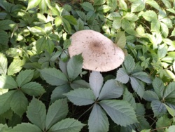 26164cf6-e0da-41bc-8ed9-f4fe280cc9ee