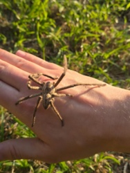 05206709-74ab-4112-853e-0c6fa0f0e235