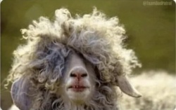 27208da9-6f04-4207-87f0-ed0e0dbfb46c