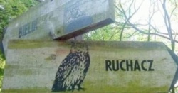 47052c64-ff77-48cf-bdf4-0cf9ae3417f9