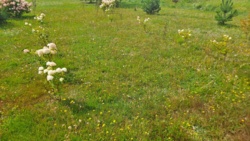 37196662-8455-4f8f-b842-887848695fe4