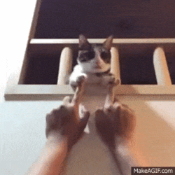 afa25c19-6aff-49be-8539-37a87707c4e1