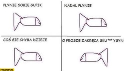 d69cf104-510d-4ddd-aaeb-211a72ddb0cb