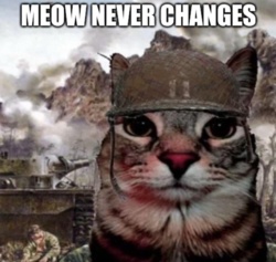 e376a3aa-513a-4f58-b9f5-a4f82afb8a39