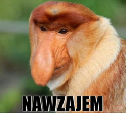 fcd0257e-bb19-4766-9084-fca4b1123d65