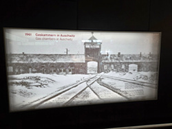 7d737da5-b908-4ae1-b30a-70f737ef1794