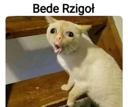 f908fa57-b829-429a-818b-26960553aa1f