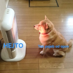 fff4ca2b-2f52-4ee6-9401-766886d1e055