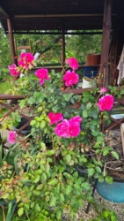 726366c4-1cf6-4cc7-9ee1-1e7fdb64fd2b